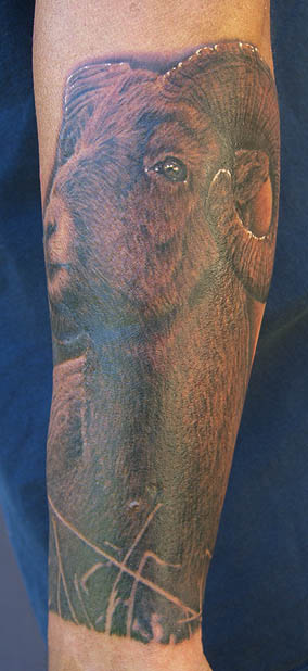 Mike DeVries - Big Horn Ram